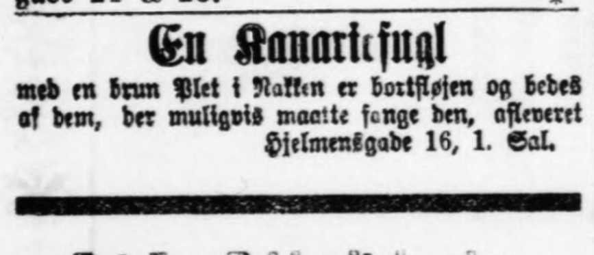 Annonce fra 18. august 1899 i Aarhus Stiftstidende